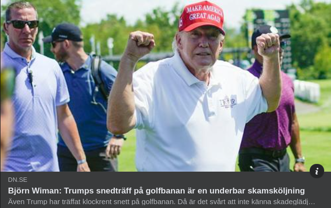 Projicerat Självförakt I DN