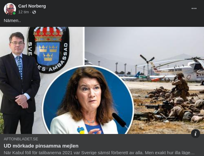 Pinsamt Mörkande UD