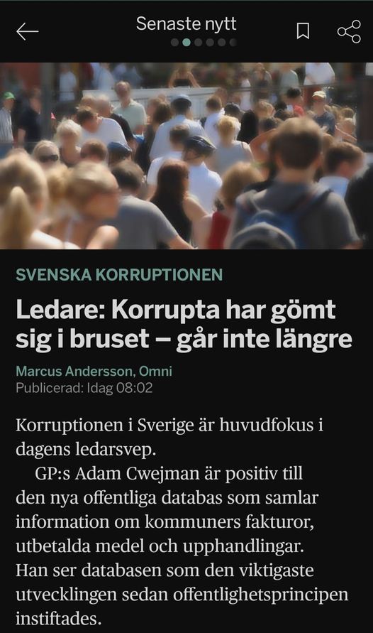 Korruptionsdöljande Brus