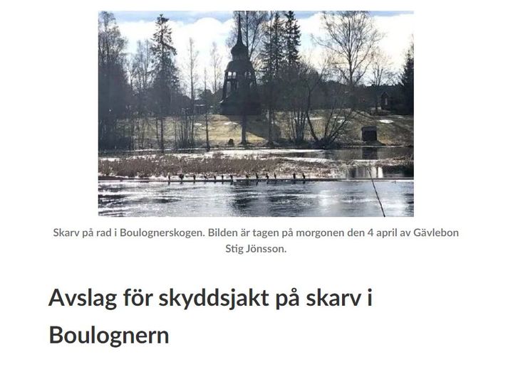 Ingen Skyddsjakt I Boulongerskogen