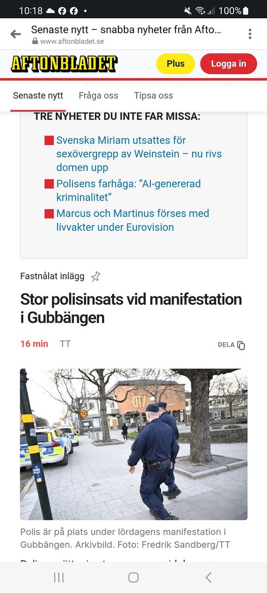 Stor Polisinsats På Gubbängsmanifestation