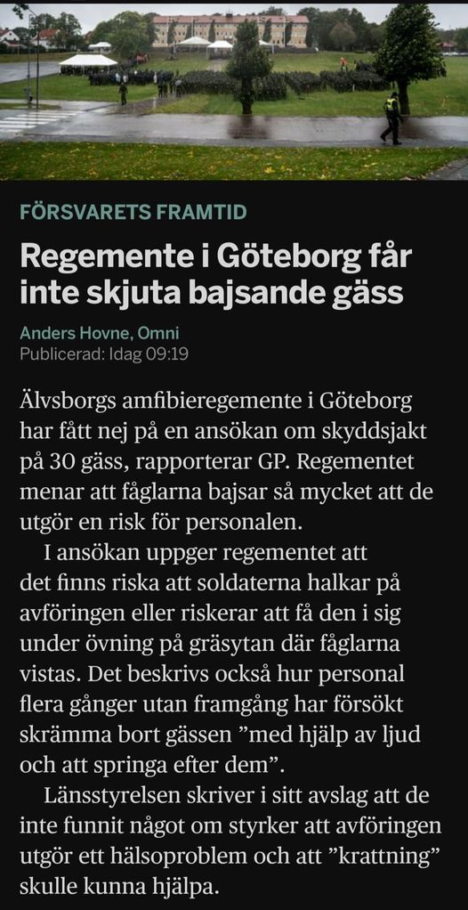 Militärt Gåsproblem I Göteborg