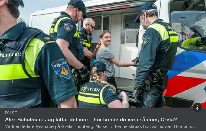 Schulman Undrar Hur Greta Kan Vara Så Dum