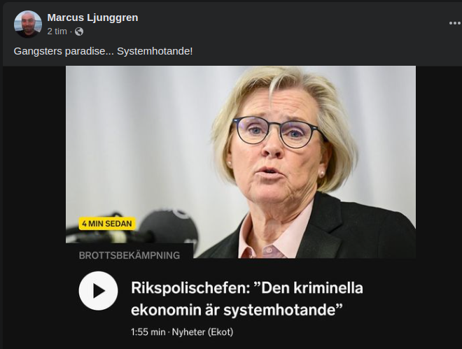 Systemhotande Kriminell Ekonomi