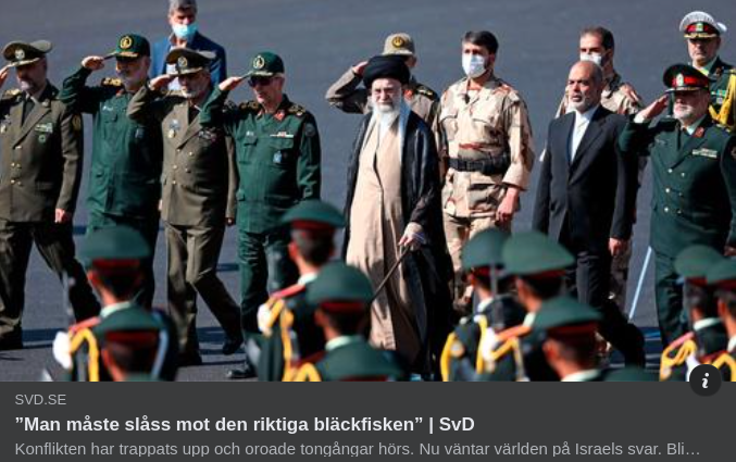 Mellanösternbläckfisk I SvD