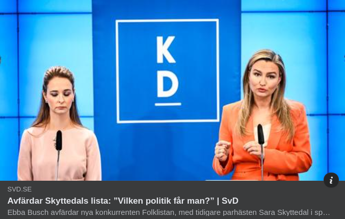 Ebba Undrar Vilken Politik Man Får