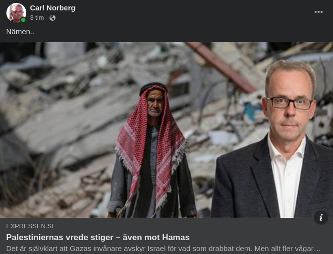 Stigande Palestinavrede