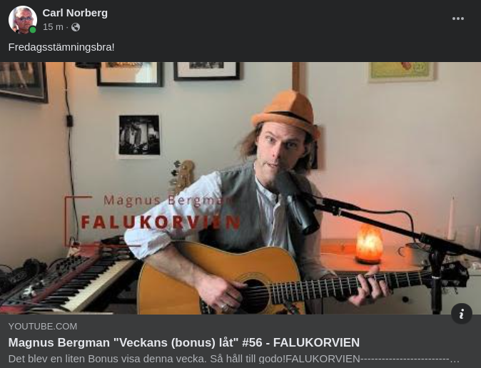 Falukorvien Av & Med Magnus Bergman