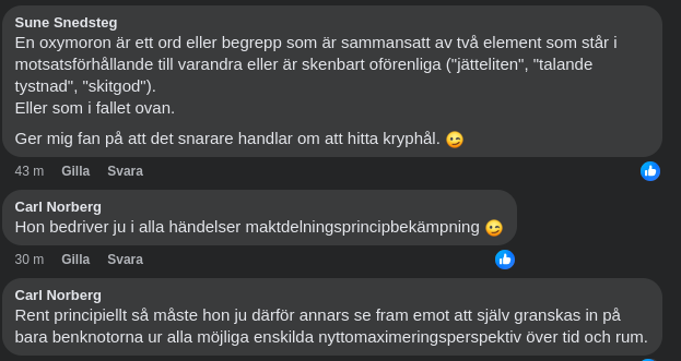 Privat Antikorruptionsexpert