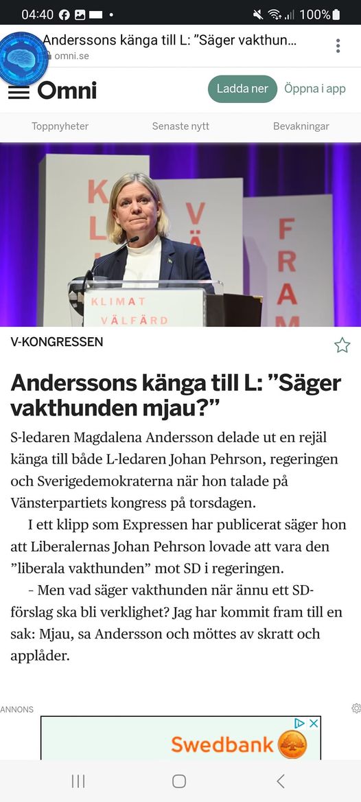 Partipolitik Ur Kattlådan