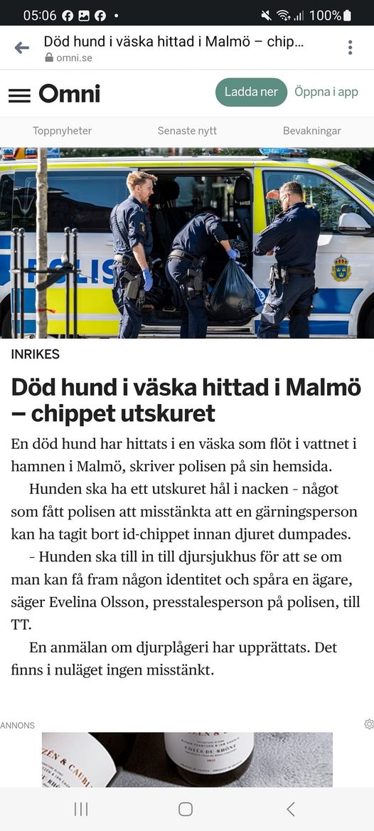 Död Hund Utan Chip I Malmö