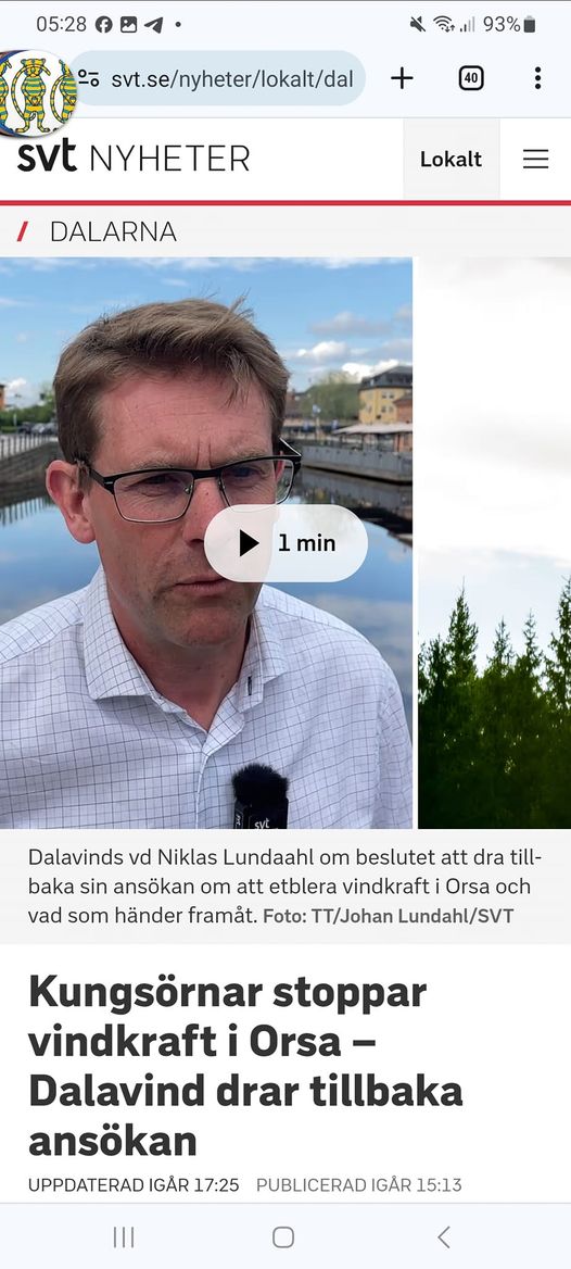 Vindkraftsstoppande Kungsörnar