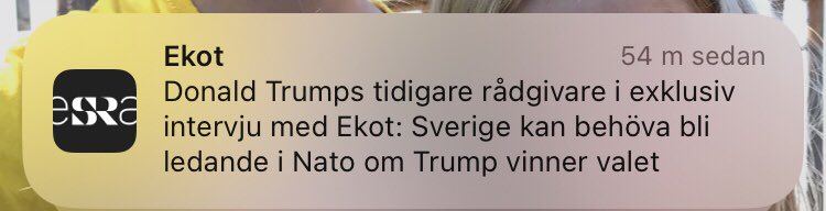 Natoledande Sverige Vid Trumpvinst?..