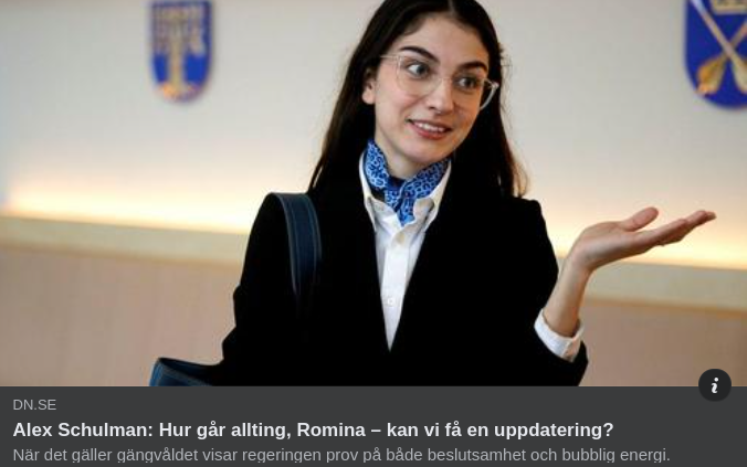 Regeringen & Gängvåldet