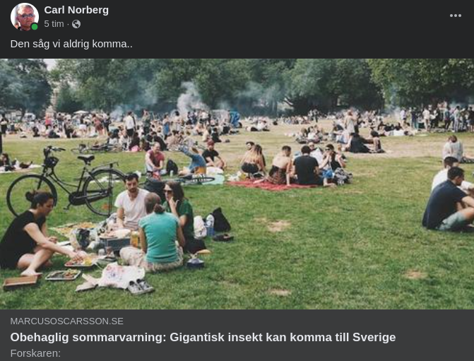 Gigantisk Insekt & Sverige Hos Kajalmackan