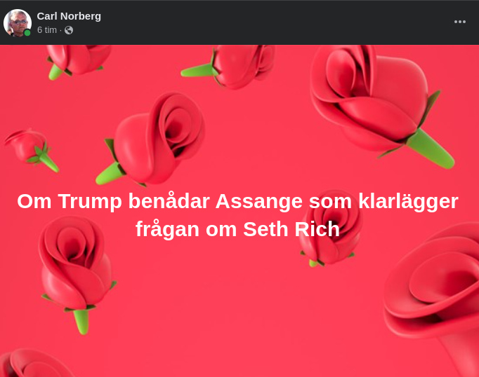 Trump->Assange->Rich
