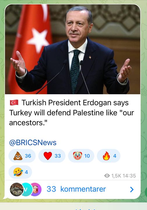 Erdoğan & Turkiska Förfäder Till Palestiniernas Försvar