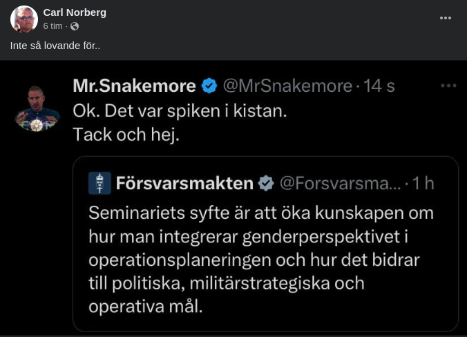 Genderperspektivet & Försvarsmakten..