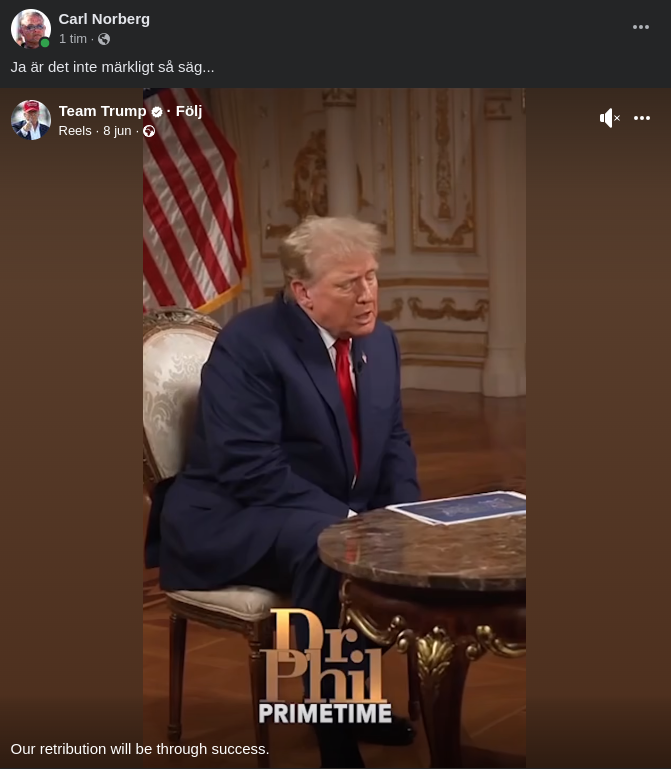 Succé Som Vedergällning