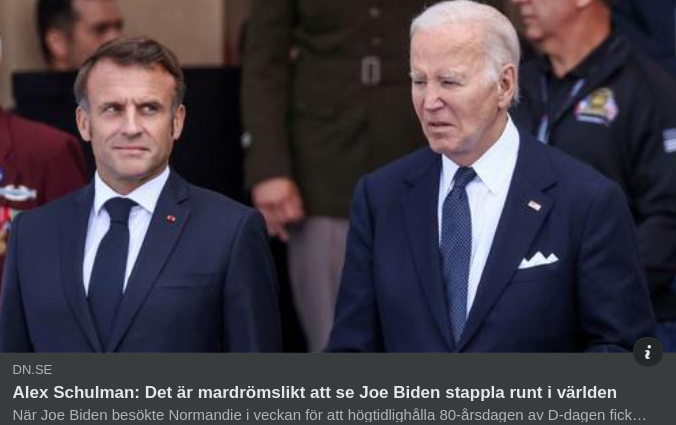 Schulman & Ett Mardrömslikt Underlivsporslin I DN