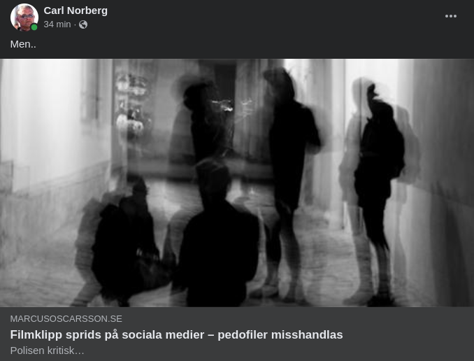 Polisiär Pedofiljaktskritik