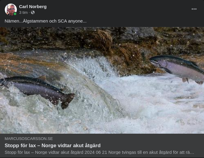 Norge Stoppar Laxfiske