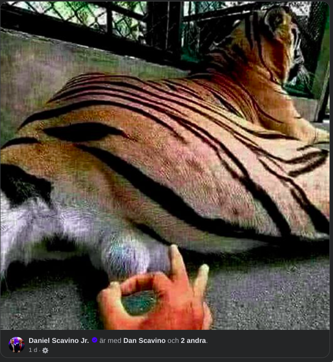 Scavino's pungknäpp