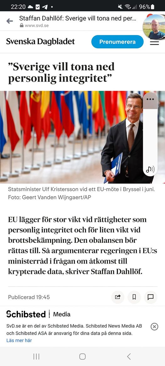 Nedtonad Svensk Integritet