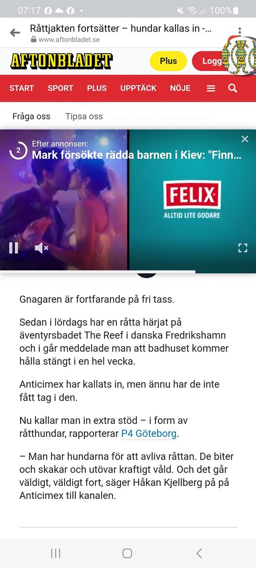 Råttjakt I Fredrikshamn