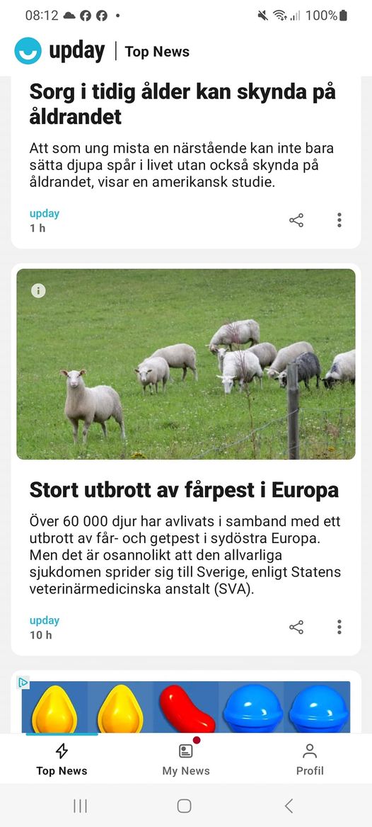 Europeisk Fårpest