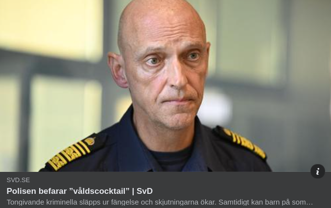 Polisbefarad Våldscocktail