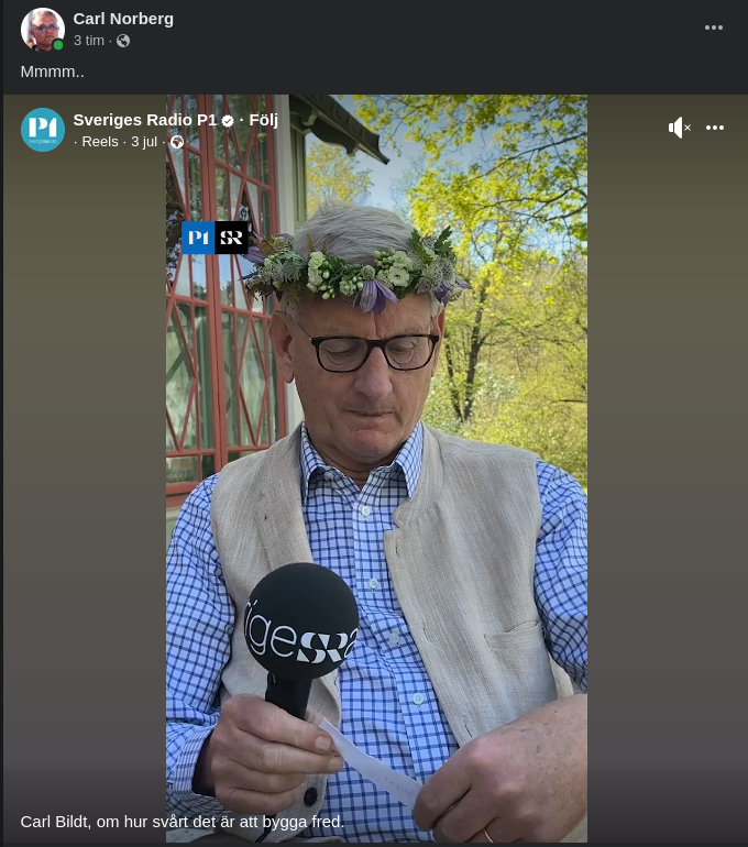 Svårt Fredsbyggande För Bildsköne Kalle