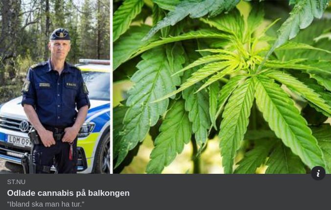 Polisiär Cannabistur