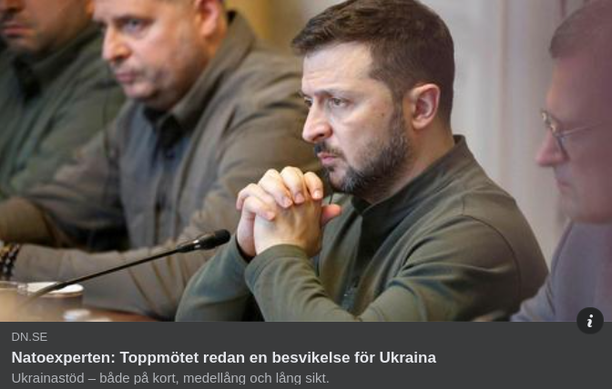 Ukrainsk Besvikelse I DN