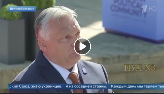 Fredsförhandlande & Kapitulation