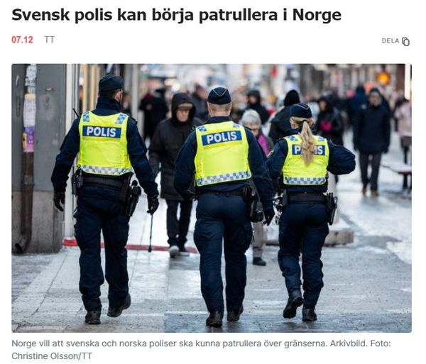 Nordisk Polispatrullering