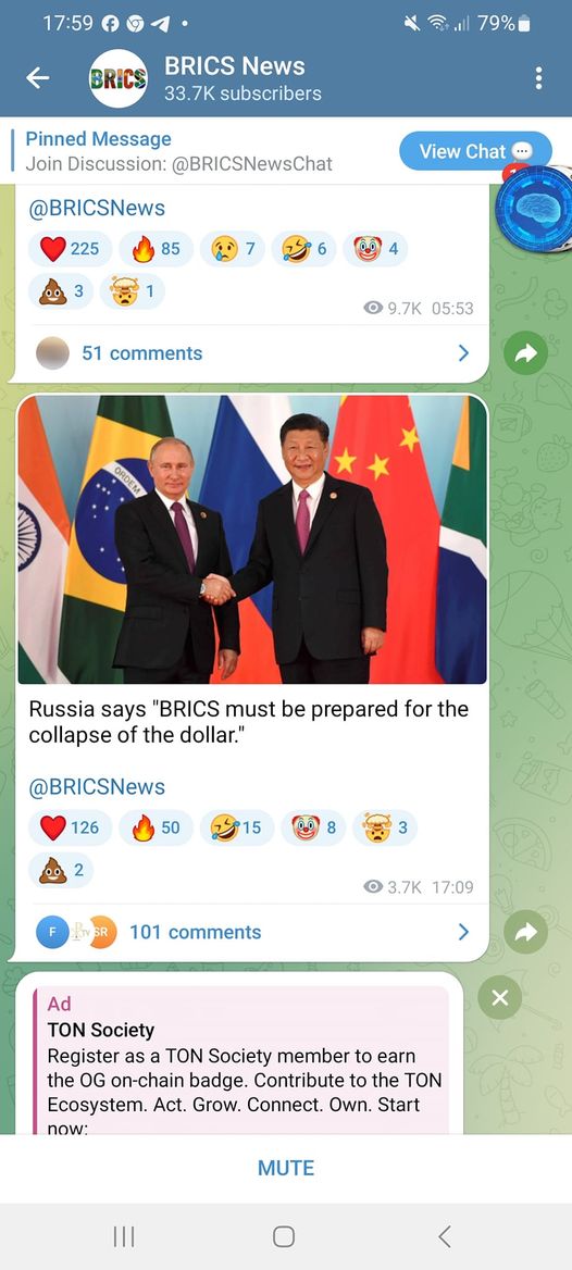 Dollarkollapsförberett BRICS