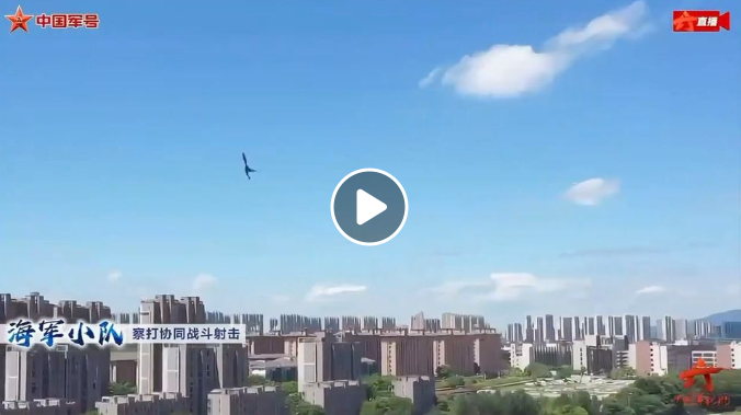 Fågelformad Kinesisk Drönare