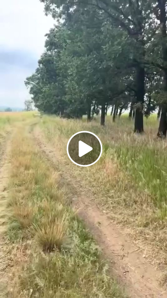 Minimum Av Videotäckning