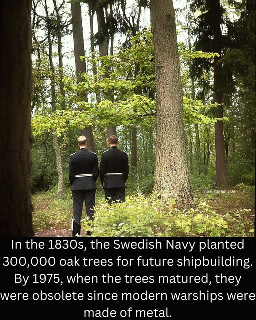 Gammal Framförhållning