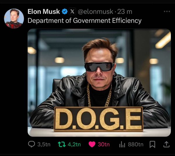 D.O.G.E & Musk