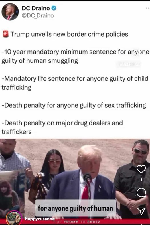 Gränsbrottspolicy Från Trump