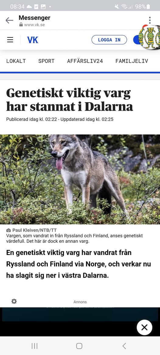 Genviktig Varg I Dalarna