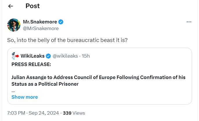 Assange Adresserar PACE