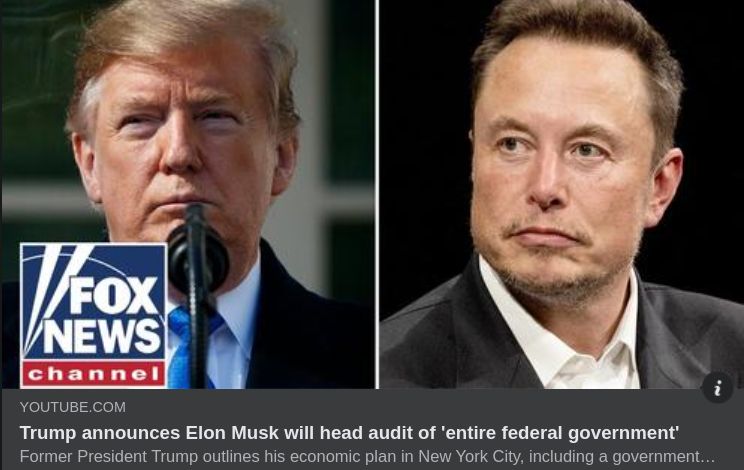 Musk Som Byråkratiöversynsman