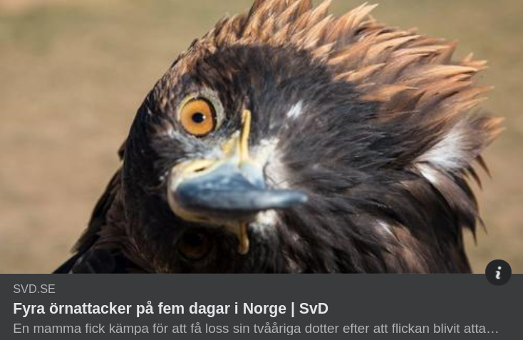 4 Norska Örnattacker På 5 Dagar