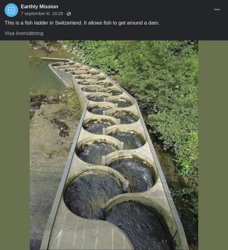 Schweizisk Fiskstege