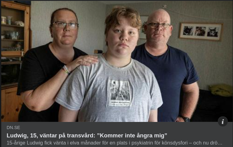 Ludwigs Kvinnliga Pubertetsproblem