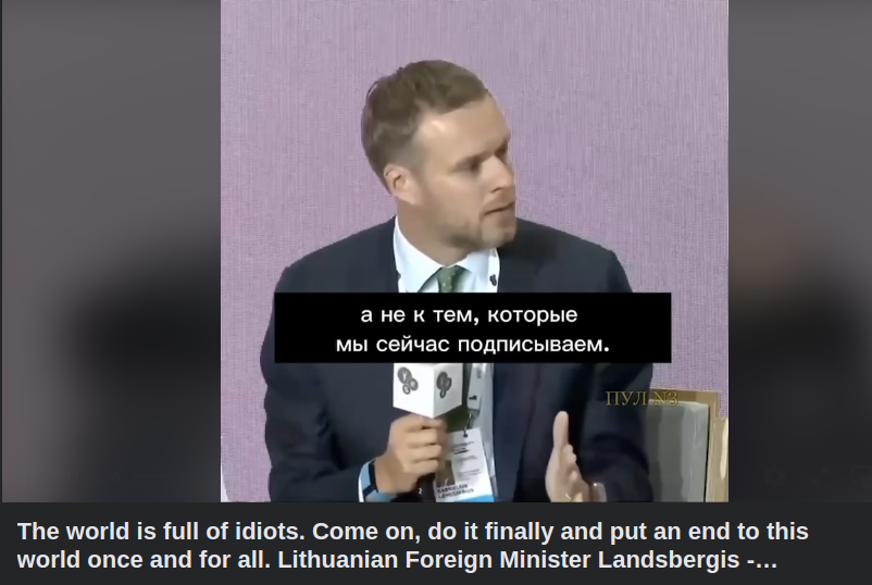 Litauens Utrikesminister Landsbergis & En Värld Full Av Idioter..