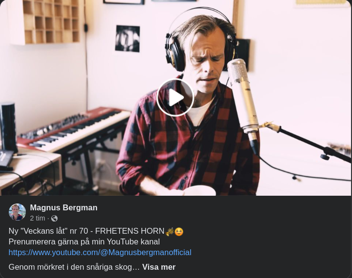 Frihetens Horn - Magnus Bergman